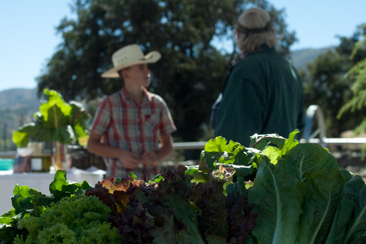 Brite Creek Farm photo
