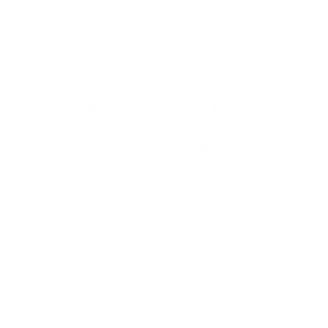 Pastured/Organic Chicken/Turkey