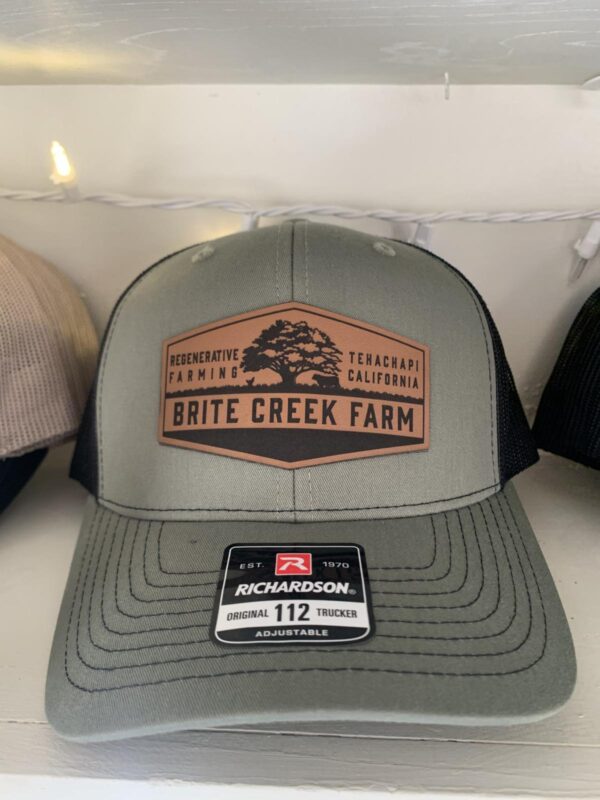 Brite Creek Caps-One Size Fits All