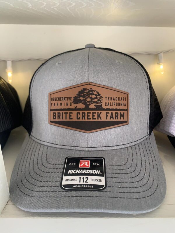 Brite Creek Caps-One Size Fits All