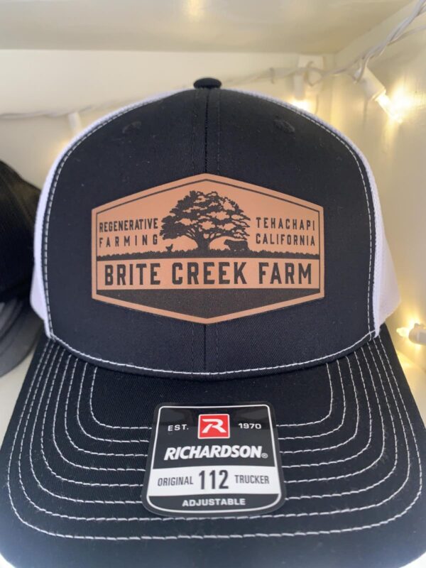 Brite Creek Caps-One Size Fits All