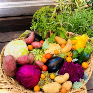 Vegetable Share-Beyond Organic (One Time Order)
