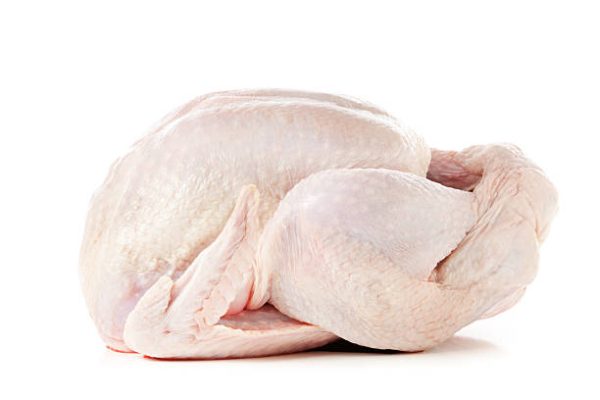 Pastured Turkey- Small 14-16 lbs. November Delivery Deposit. $50