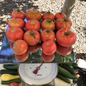 September Tomato Special! - Beyond Organic Bulk Special.